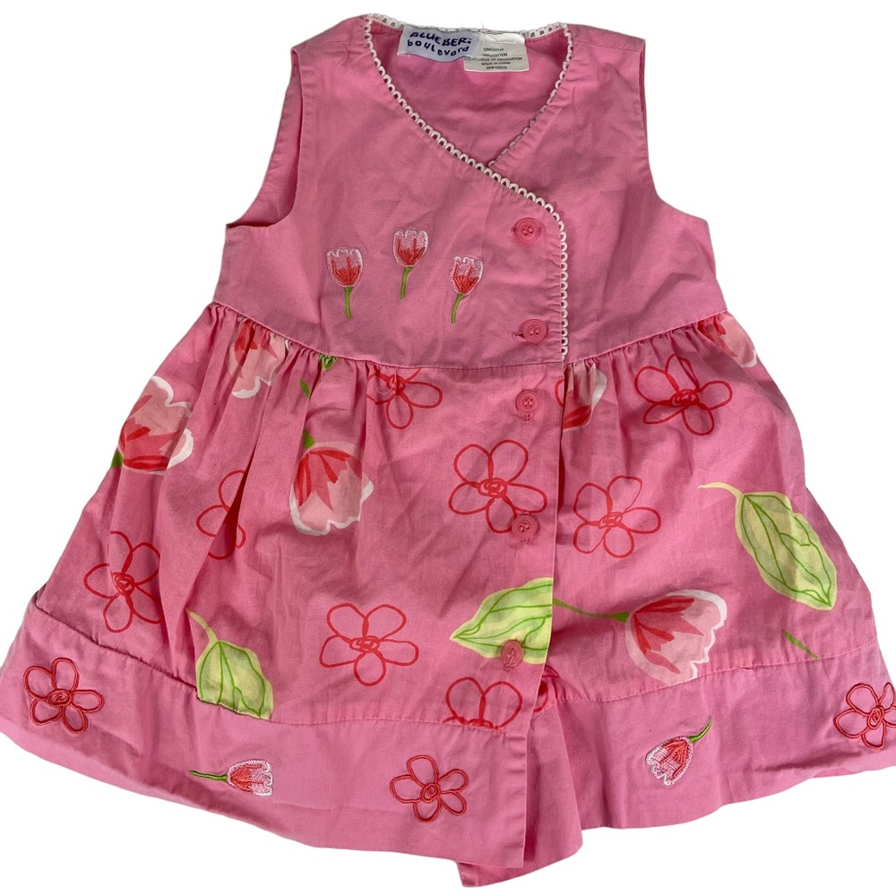 Blueberi Boulevard Spring Pink Floral Button-up Baby Dress 12 Months Girls Roses